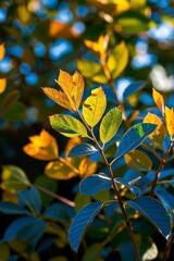 Obraz premium a close up of a leafy plant with a blue sky in the background