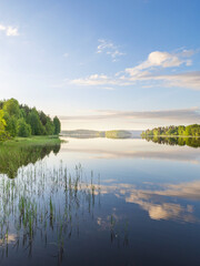 A calm lake with a few trees in the background