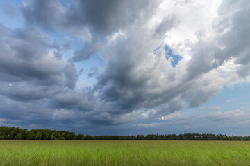 A field of grass with a cloudy sky in the background