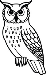 owl on a white background