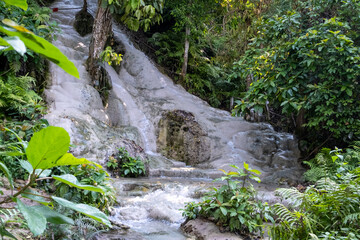  A unique limestone waterfall in Chiang Mai, Thailand, known as the Sticky Waterfall