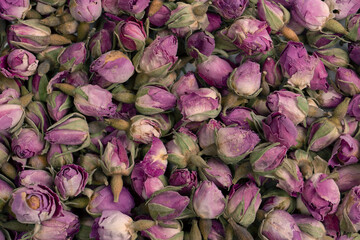 Dry tea roses isolated on white background.