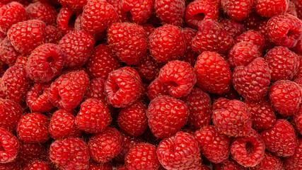Tasty fresh raspberry as a background.