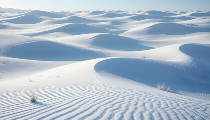 Windswept Snow Formations Creating Natural Patterns