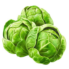 Obraz premium Bunch of fresh green lettuce leaves arranged in a natural setting with a neutral background