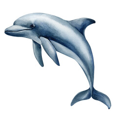 Watercolor smiling blue dolphin swimming isolated on white background. Design decor, poster, clipart hand painted ocean © Hanna