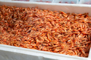 Seafood and fish market