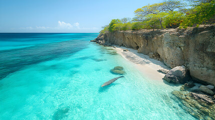 Fototapeta premium Beautiful coast featuring teal waters sandy beaches lush green trees and blue skies Marine life is swimming close to