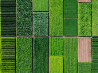 High resolution satellite image analysis showing diverse crop fields with varying shades of green, highlighting agricultural