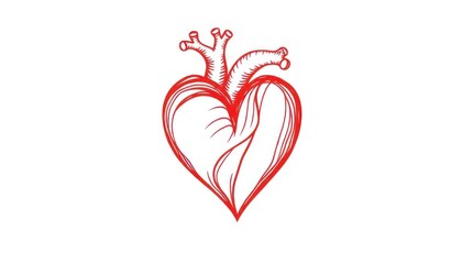 A stylized illustration of a heart, symbolizing love and emotion.