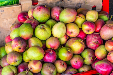 A view of apples in a market near to Puntarenas, Costa Rica in early springtime