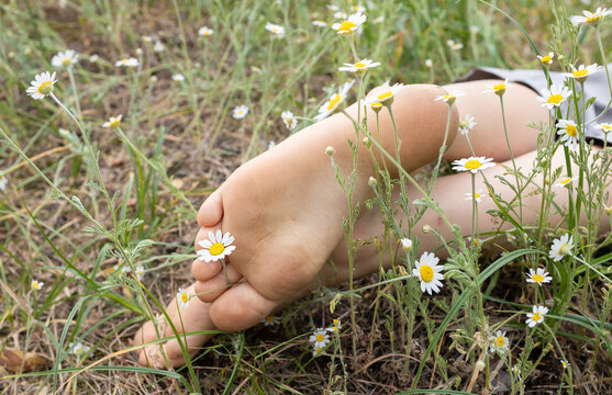 Bare feet of a child lying on the ground among daisies in a meadow. relaxation, positive atmosphere, outdoor recreation, happy childhood. flatfoot prevention, healthy lifestyle