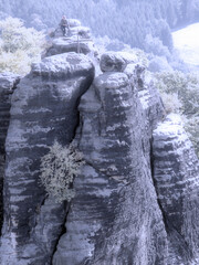 Rock Climbing in Winter
