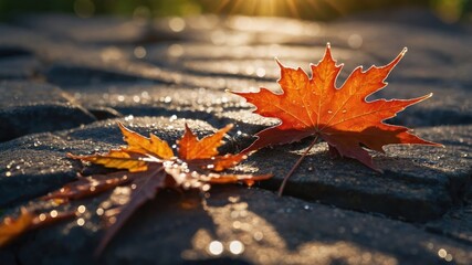 A close-up of vibrant autumn leaves resting on a textured surface with sunlight in the background.