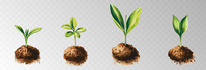 Watercolor PNG set of growing green plants. Infographic elements for planting, tree growth, agriculture, environmental conservation, and reforestation concepts.