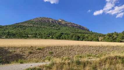 Montagne avec champ de bl&eacute;