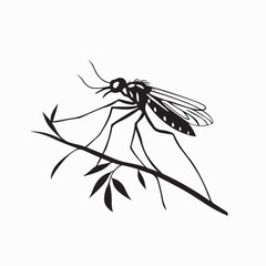 Small mosquito insect. Mosquito on branch image vector on white Background.