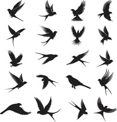 Silhouettes of various birds in flight, depicted in black against a white background.