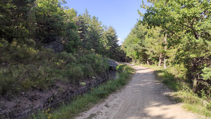Chemin de terre et canal au milieu de la forêt en montagne 