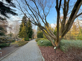 Picturesque garden paths, immersed in the greenery of the botanical garden, create an atmosphere of cosiness and harmony with nature