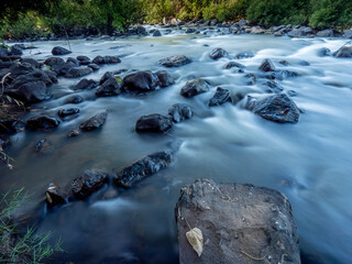 The Forest Stream Serenity