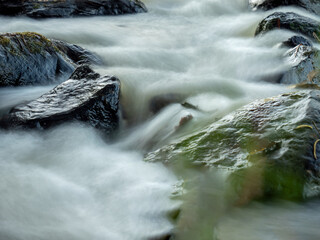 The Dawn Algae Stream