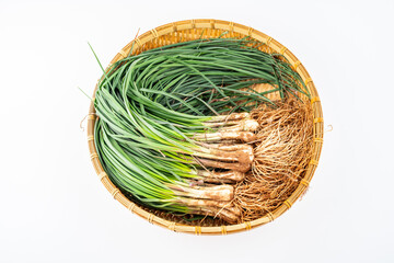 A basket of fresh organic radish vegetables on white background