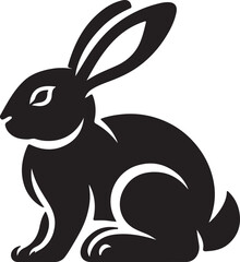 black and white rabbit