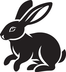 black and white rabbit