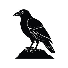 a vector illustration of a crow on a rock.eps