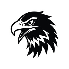 Obraz premium A vector illustration of an eagle head.eps