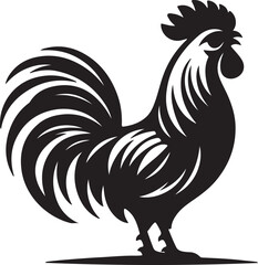 rooster isolated on white background