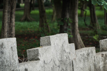 Concrete Wall as a Park Fence Surrounded by Lush Greenery and Mature Trees in Natural Landscape
