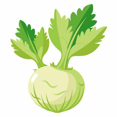 Celeriac vegetable isolated vector