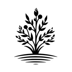 Minimalist Black and White Illustration of a Blooming Plant with Round Fruits and Leafy Branches on a Grassy Base.