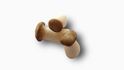 White mushroom isolated with clipping path in white background.