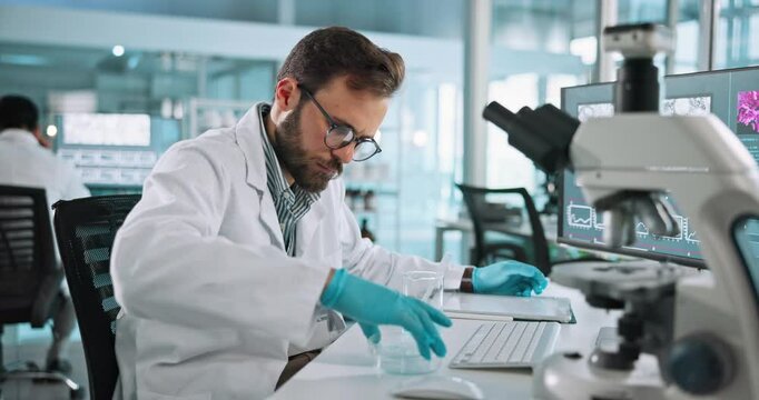 Medicine, scientist or man with petri dish in lab for science breakthrough, clinical trial or discovery. Microscope, medical or checking results in beaker for vaccine research, cure or development