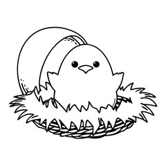 easter egg with a chicken