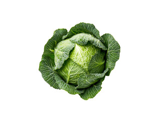 Obraz premium Fresh green cabbage on a black background, perfect for healthy cooking and vegan recipes. Eye-catching and vibrant, ideal for food-related projects and agricultural themes.