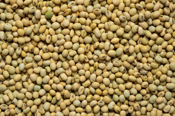 Organic raw soybeans close-up, vegan superfood, top view