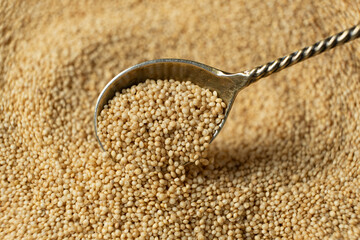 Organic amaranth grains spilling out of spoon close-up.