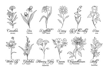 Set of flower line art vector illustrations. Carnation, daffodil, daisy, lilies, gladiolus, chrysanthemum, cosmos, holly hand drawn black ink sketch. Birth month flowers for jewelry, tattoo, logo.