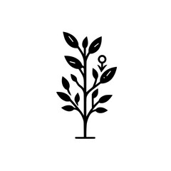 Minimalist Black and White Illustration of a Plant with a Male Symbol, Symbolizing Growth and Gendered Nature.
