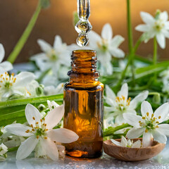 Amber Glass Bottle, Pipette Drop Essence Star of Bethlehem Flower Remedy Bach, Ornithogalum umbellatum, Floral de Bach, Terapia Floral, Flower Therapy
