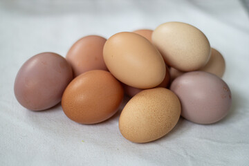  Close-Up of Farm Eggs with Diverse Shell Colors