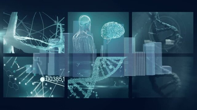 Animation of DNA strand and brain hologram with futuristic school interface elements - Powered by Adobe