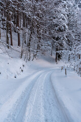 Obraz premium Snowy road through winter forest in the Bavarian Alps, Germany