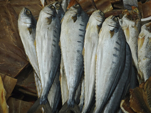 yellow queenfish largemouthed leatherskin on market