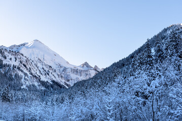Obraz premium Winter landscape with snow-covered mountains and forest in the Bavarian Alps, Germany
