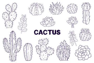 Big set hand drawn cacti on white background. collection Vector icons in black and white sketch style. Hand drawn isolated objects cactus.